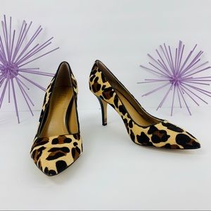 BCBG Paris/Cow Hair Animal Cheetah Cream Tan Black